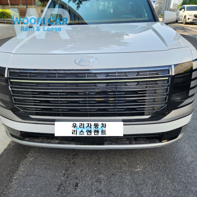 현대 팰리세이드
