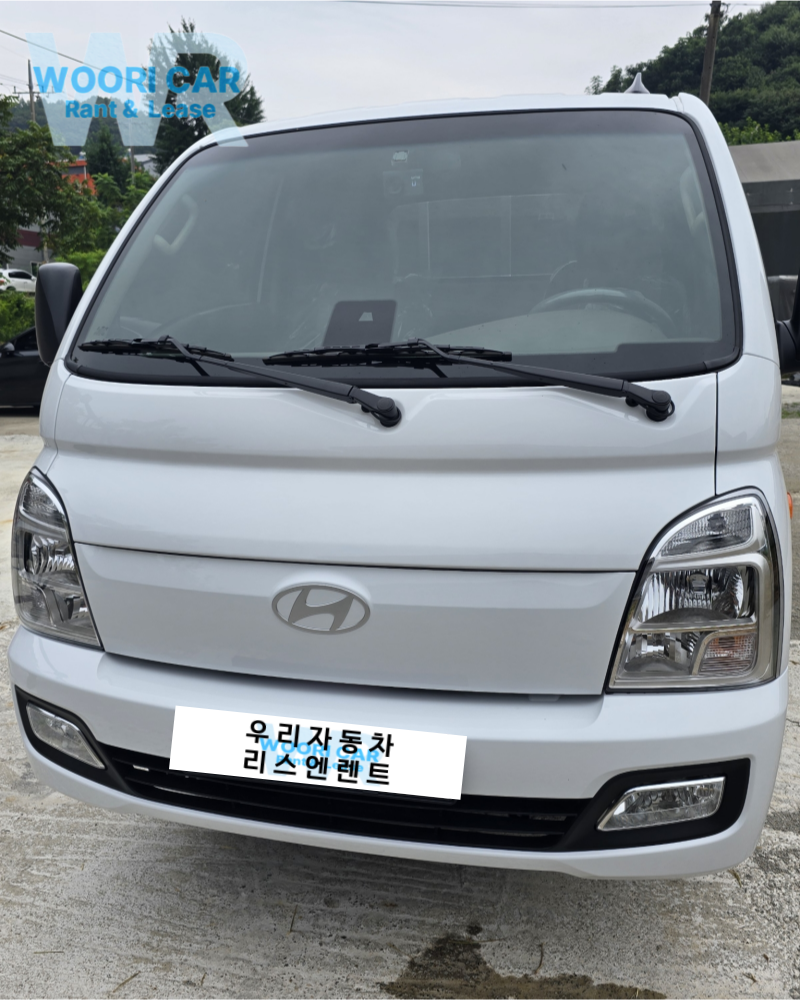 현대 포터